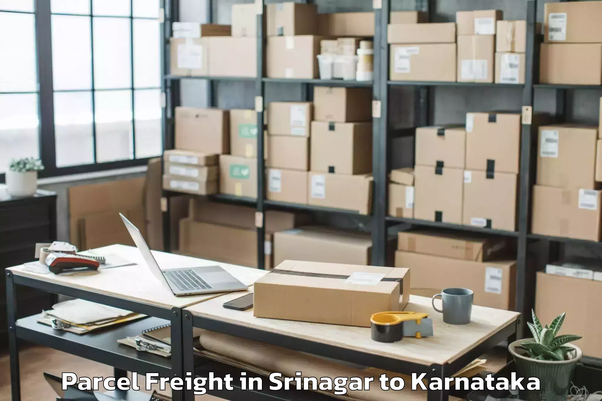 Top Srinagar to Tumakuru Parcel Freight Available